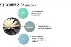 Self-Compassion-FSirois