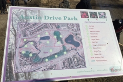 Earth-Day-Tree-Planting-Austin-Drive-Park