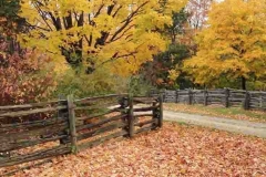 fallscenecrop
