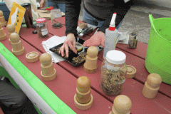 organicworkshop