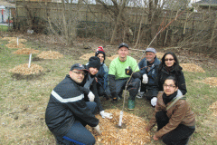 treeplanting2