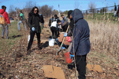 tree-planting-020r