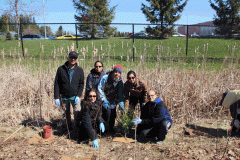 tree-planting-033r