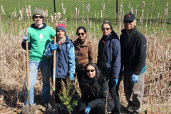 tree-planting-038r