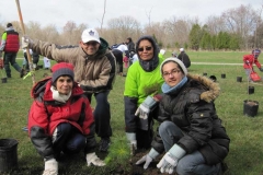groupplanting