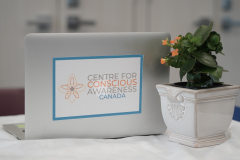 CCA-Laptop-and-plant