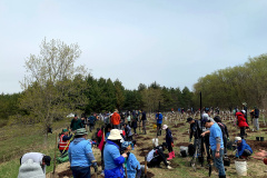 Group-Tree-planting-11