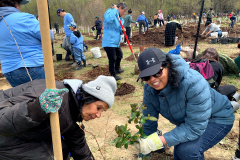 Group-Tree-planting-12