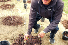 Group-Tree-planting-14