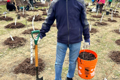 Group-Tree-planting-18