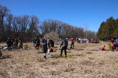 Tree-Planting-Large-Group-Planting