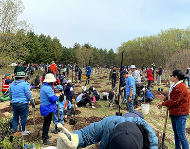 tree-planting-2026