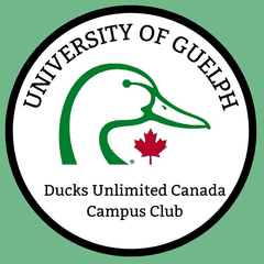 University of Guelph - DUC Campus Club